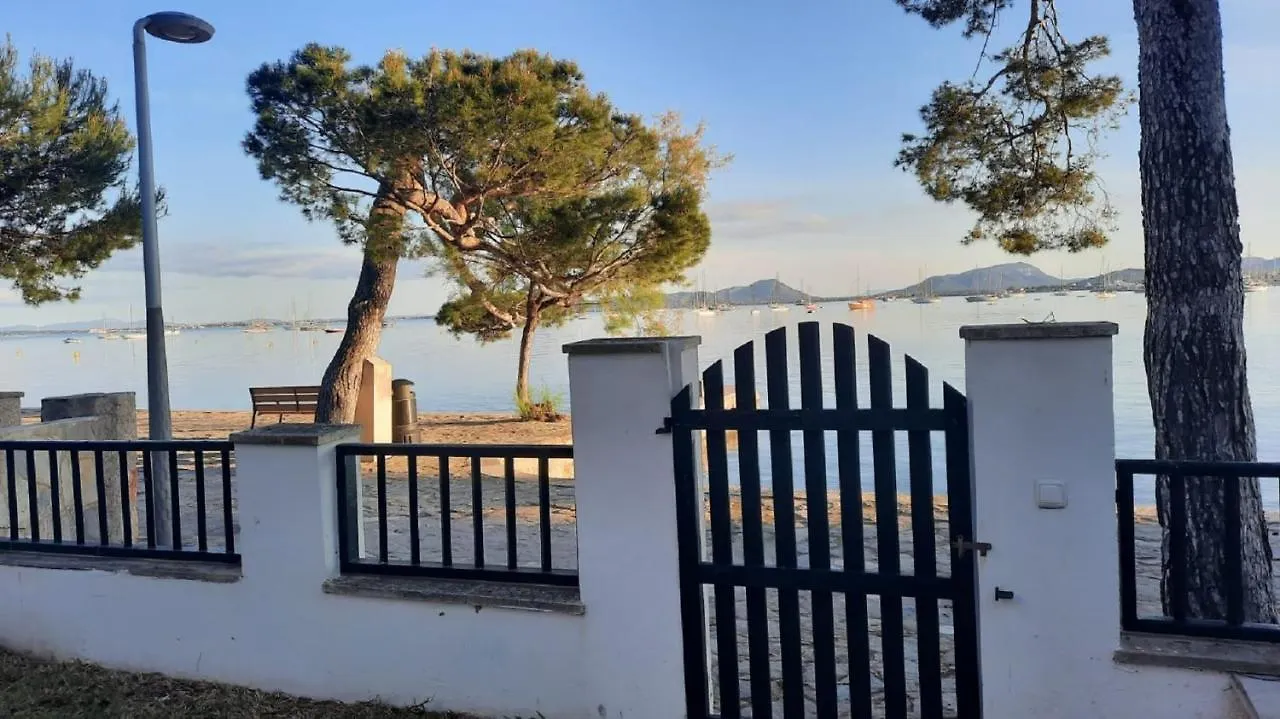 Pins Can Asprer 0*, Port de Pollença Spagna